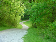 Please help us by taking this survey about Greenway projects in Buncombe County.